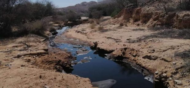 شبوة| المحافظ بن عديو يوجه بتشكيل لجنة للبدء بمعالجة ضرر تسرب نفطي