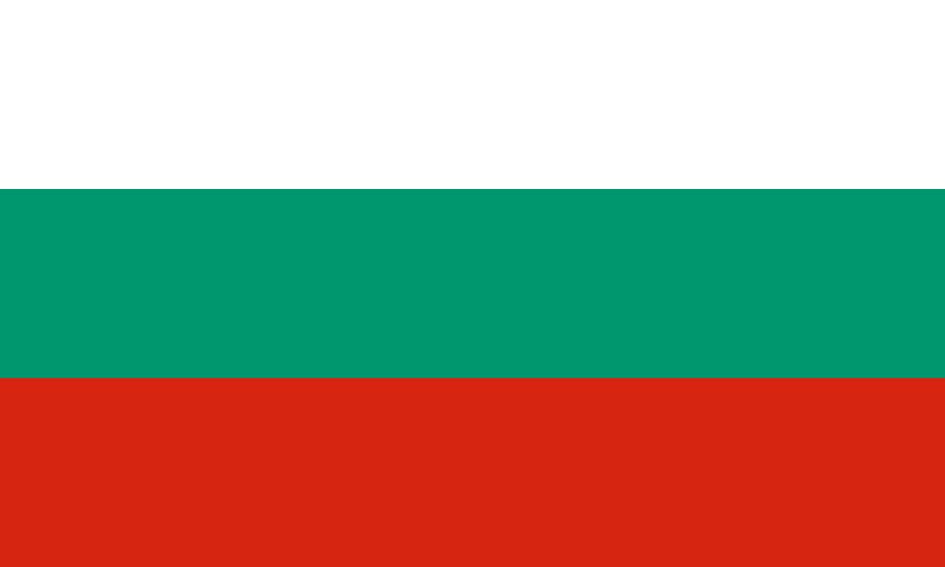 بلغاريا تدين الهجوم الحوثي الارهابي على ميناء الضبة