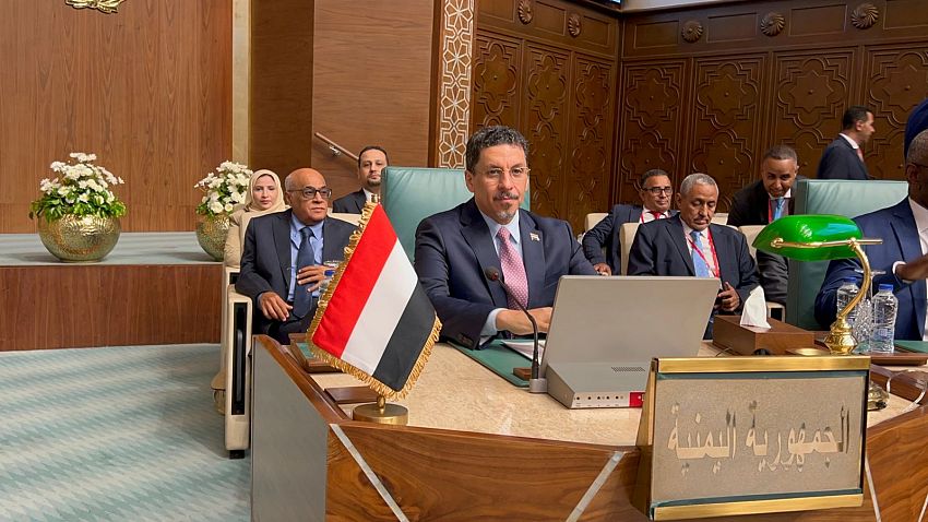 وزير الخارجية يشارك في الدورة الثالثة للحوار السياسي العربي-الياباني على المستوى الوزاري