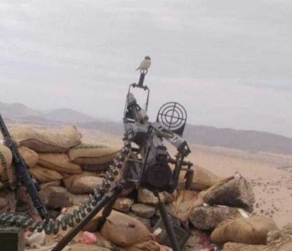القوات المشتركة تدمر اهدافاً حوثية استهدفت اعيان مدينة جنوب الحديدة