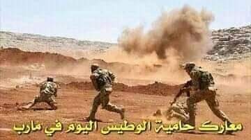 بعد معارك طاحنة.. جثث العناصر الحوثية لا تزال متناثرة في الصحاري والجبال بعد فرار القيادات