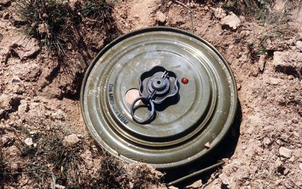 لغم حوثي يودي بامرأة ويصيب أخرى في البيضاء