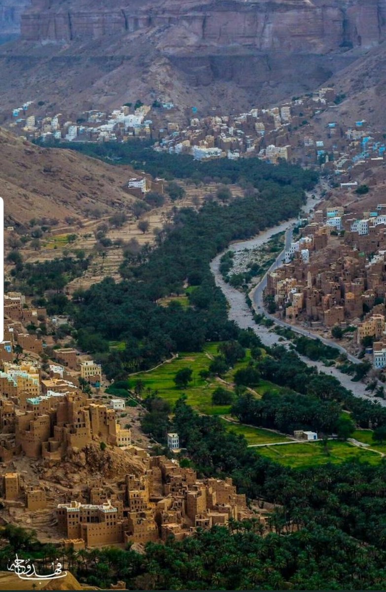 96 عريساً وعروسة يحتفلون بإكمال نصف دينهم في منطقة دمون بتريم