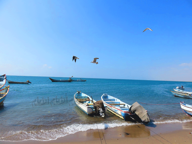 محافظ لحج ونائب وزير المالية يناقشان استعدادات افتتاح جمرك رأس العارة