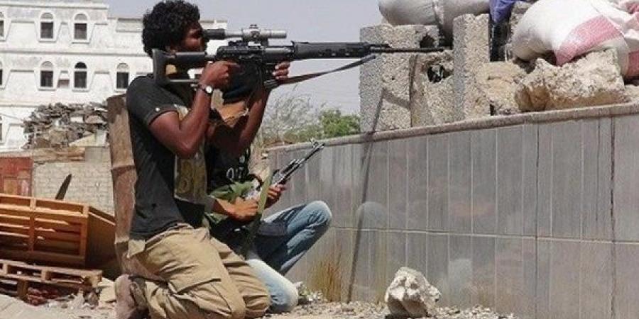 مصرع 4 قناصيين حوثيين اثناء تمركزهم بين مزارع النخيل بالحديدة