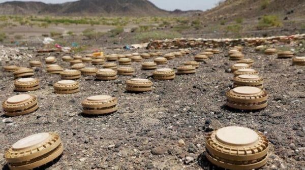 مقتل وإصابة أكثر من 150 مدنياً نتيجة الألغام الحوثية منذ مطلع العام الجاري